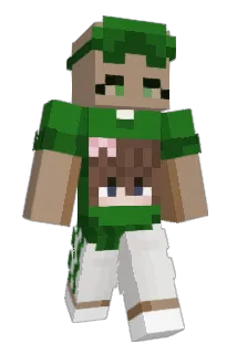 RashPenguine Minecraft avatar full body