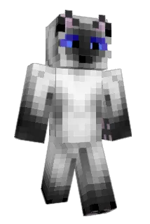 Rasmja Minecraft avatar full body
