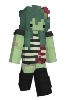 Raspberyr Minecraft avatar full body