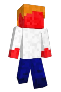 Raspering Minecraft avatar full body