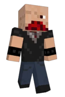 Ratiskate Minecraft avatar full body