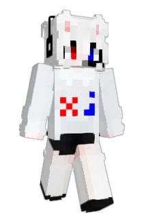 RavenPhoe Minecraft avatar full body