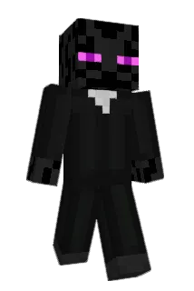 RavenRonin Minecraft avatar full body