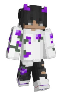 Ravenlikeducky Minecraft avatar full body