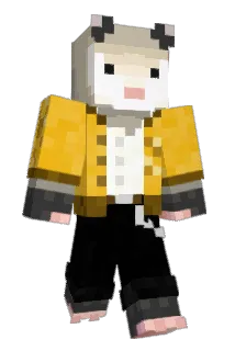 Ravioliis Minecraft avatar full body