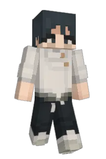 Ravtiex Minecraft avatar full body