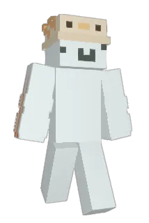 Ravynox Minecraft avatar full body