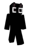 Ray22zz Minecraft avatar full body