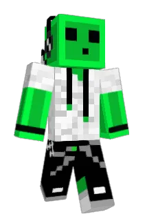 Ray312 Minecraft avatar full body