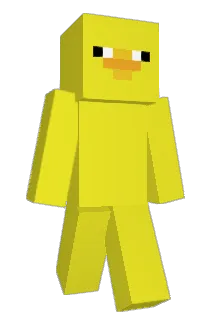 Ray4doX Minecraft avatar full body