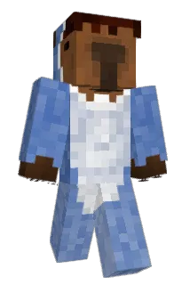 RayAnimates Minecraft avatar full body