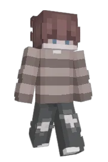 RayBlocks Minecraft avatar full body
