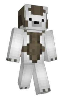 RayGlitch7 Minecraft avatar full body