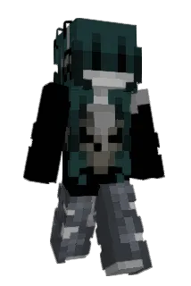Ray_Raccoon Minecraft avatar full body