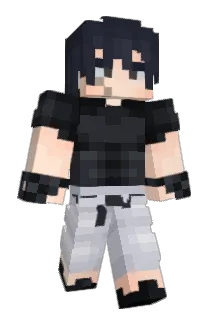 Ray_pl Minecraft avatar full body