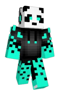 Raybot_HD Minecraft avatar full body