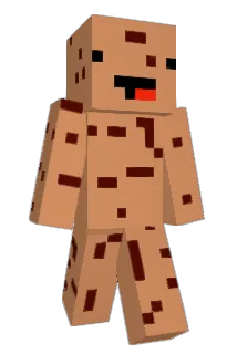 Raytasy Minecraft avatar full body