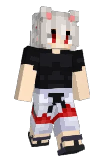 Rayzone93 Minecraft avatar full body