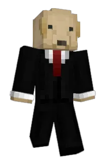 Rbiry Minecraft avatar full body