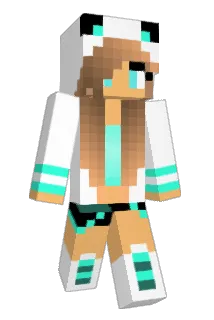 Re1Re1 Minecraft avatar full body