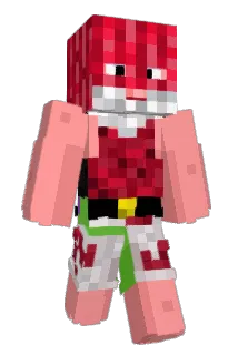 Reaka5 Minecraft avatar full body