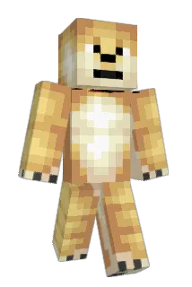 RealDogeGaming Minecraft avatar full body
