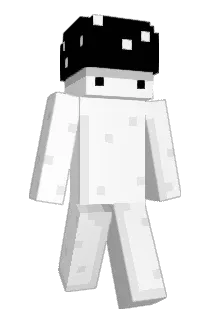 RealLegit_Player Minecraft avatar full body