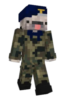 Realfox82 Minecraft avatar full body