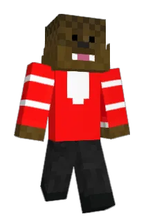 Realtitte Minecraft avatar full body