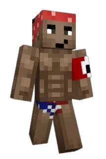 Rebio_ Minecraft avatar full body