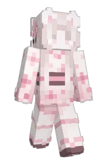 RecWriSum Minecraft avatar full body