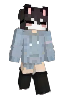 Rechenknecht_ Minecraft avatar full body