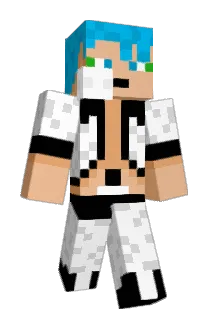 Recter12 Minecraft avatar full body