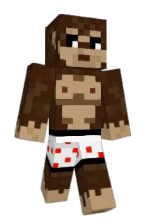 RedLe01 Minecraft avatar full body
