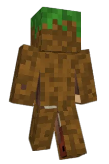 Redcan Minecraft avatar full body