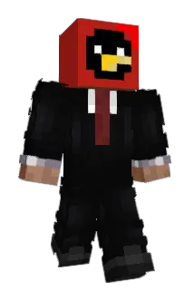 Redm_akarowka Minecraft avatar full body
