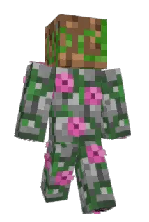Reds645 Minecraft avatar full body