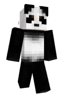 Reebeach Minecraft avatar full body