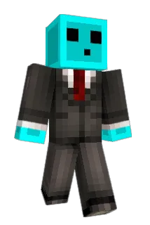 Reedninja Minecraft avatar full body