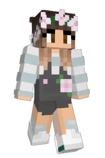 Reedo9 Minecraft avatar full body