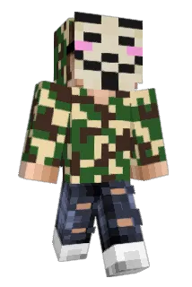 Reesespieces972 Minecraft avatar full body