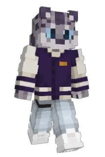 Reformic Minecraft avatar full body