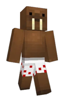 Regenald4 Minecraft avatar full body
