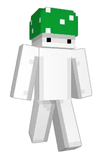 Regimens Minecraft avatar full body