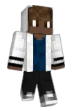 Regirt Minecraft avatar full body