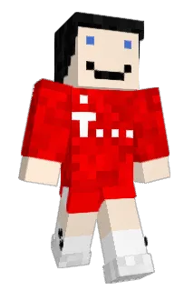 Regissowiec Minecraft avatar full body