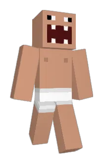 Reifenprofil Minecraft avatar full body