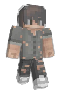 Reighus Minecraft avatar full body