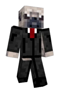 Reikingston Minecraft avatar full body