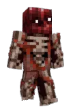 Reillien Minecraft avatar full body